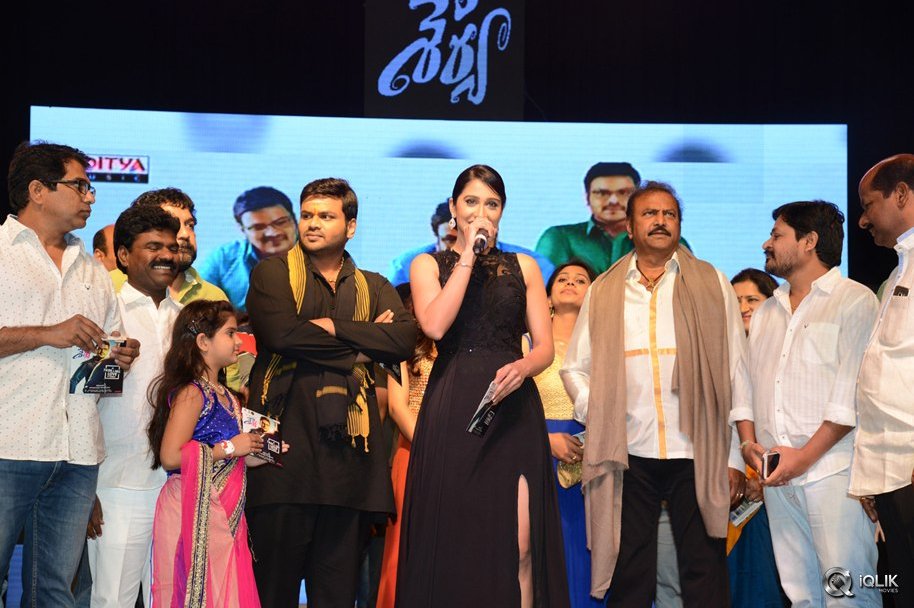Shaurya-Movie-Audio-Launch